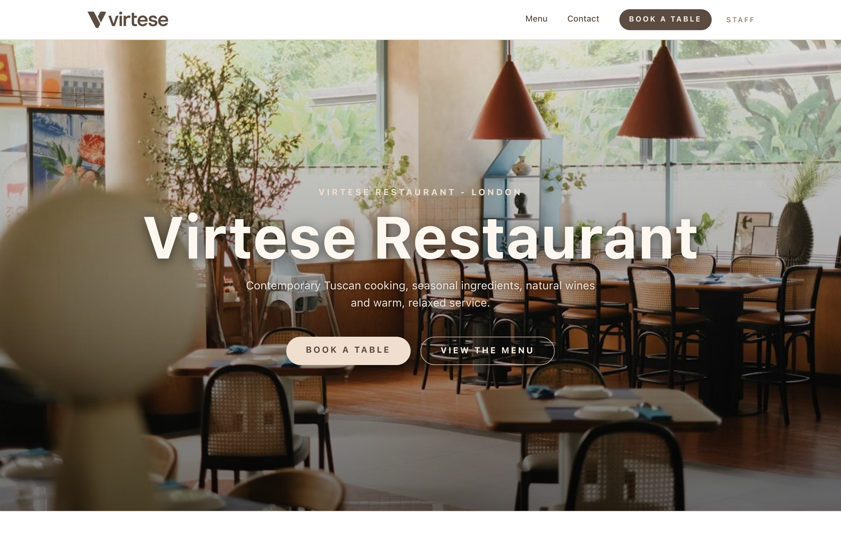 Professional website